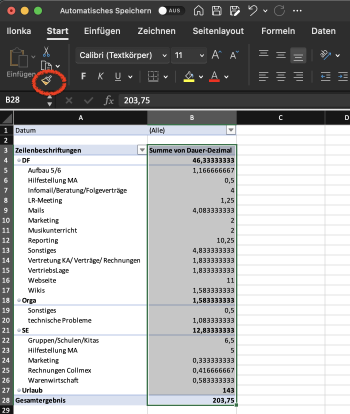 TimeandBill-Excel-Pivotformatpinsel